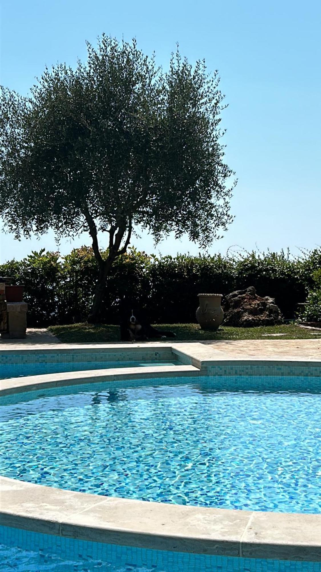 La Terrazza Sulla Versilia Pietrasanta Exterior foto